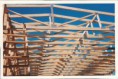 /album/foto-costruzione-centro-diurno/costruzione-2-jpg/